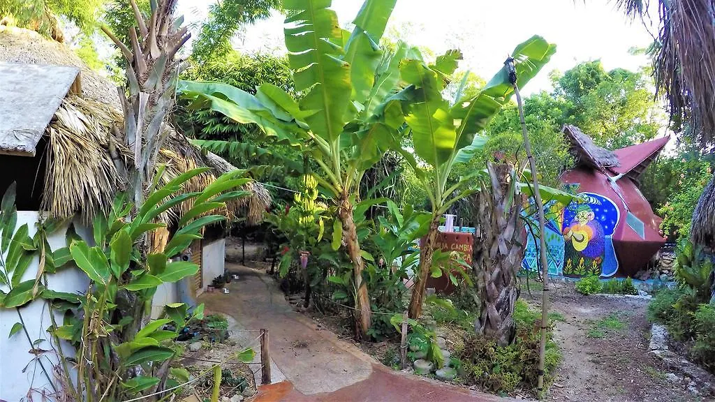 La Casa De Los Ninos Del Arbol Hotel Bacalar