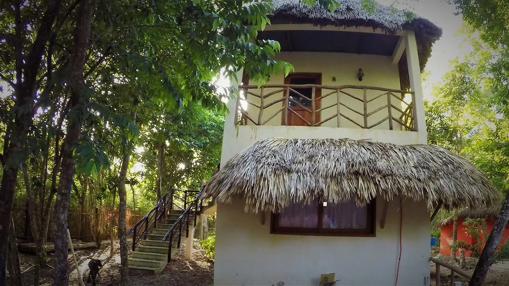 La Casa De Los Ninos Del Arbol Hotel Bacalar 0*,